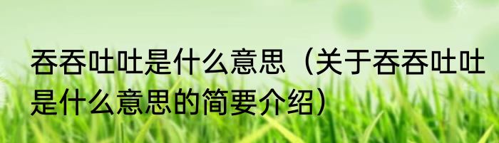 吞吞吐吐是什么意思（关于吞吞吐吐是什么意思的简要介绍）