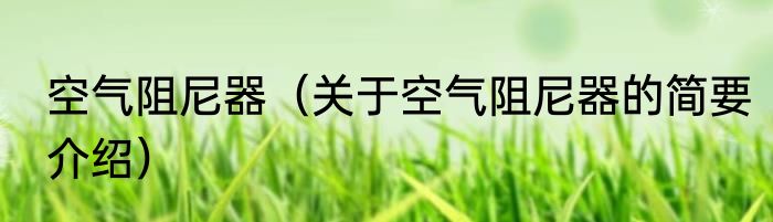 空气阻尼器（关于空气阻尼器的简要介绍）