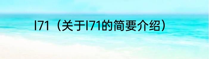 l71（关于l71的简要介绍）