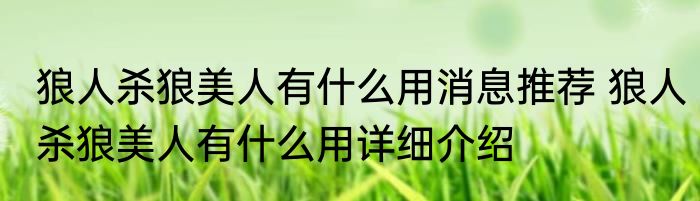 狼人杀狼美人有什么用消息推荐 狼人杀狼美人有什么用详细介绍