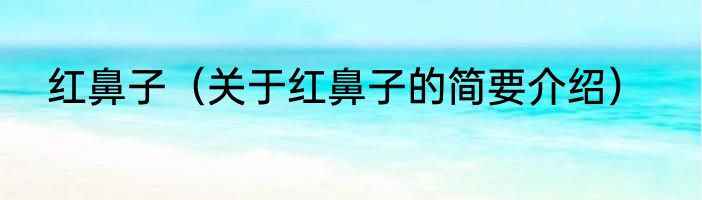 红鼻子（关于红鼻子的简要介绍）