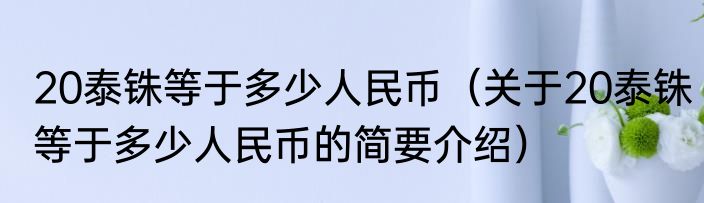 20泰铢等于多少人民币（关于20泰铢等于多少人民币的简要介绍）