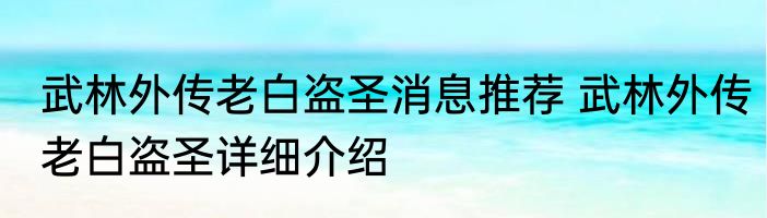 武林外传老白盗圣消息推荐 武林外传老白盗圣详细介绍