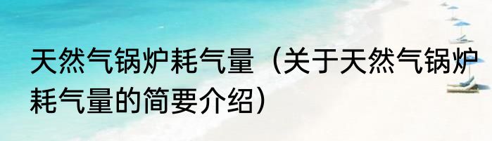天然气锅炉耗气量（关于天然气锅炉耗气量的简要介绍）