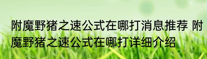 附魔野猪之速公式在哪打消息推荐 附魔野猪之速公式在哪打详细介绍