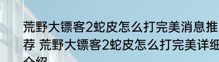荒野大镖客2蛇皮怎么打完美消息推荐 荒野大镖客2蛇皮怎么打完美详细介绍