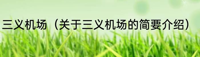 三义机场（关于三义机场的简要介绍）
