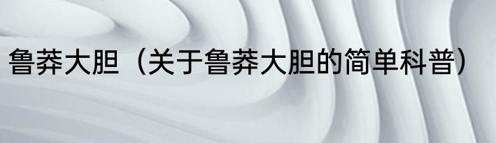 鲁莽大胆（关于鲁莽大胆的简单科普）