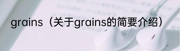 grains（关于grains的简要介绍）