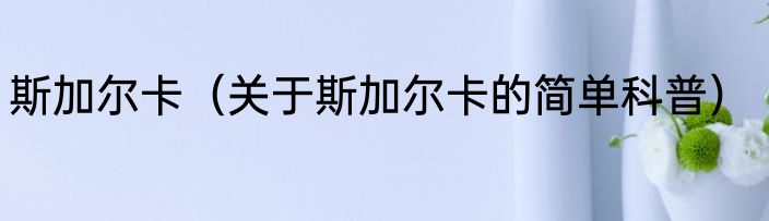 斯加尔卡（关于斯加尔卡的简单科普）