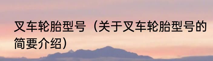 叉车轮胎型号（关于叉车轮胎型号的简要介绍）