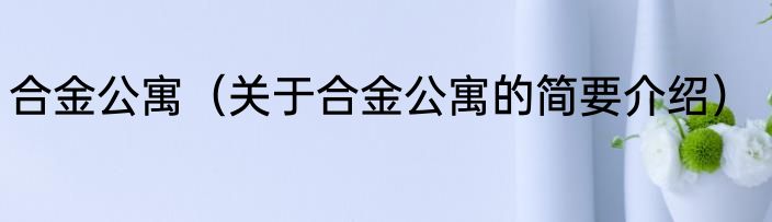 合金公寓（关于合金公寓的简要介绍）