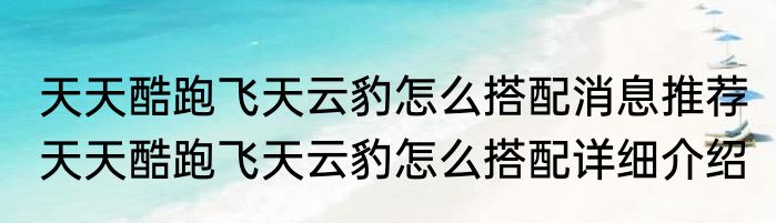 天天酷跑飞天云豹怎么搭配消息推荐 天天酷跑飞天云豹怎么搭配详细介绍