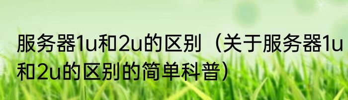 服务器1u和2u的区别（关于服务器1u和2u的区别的简单科普）