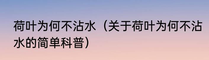 荷叶为何不沾水（关于荷叶为何不沾水的简单科普）