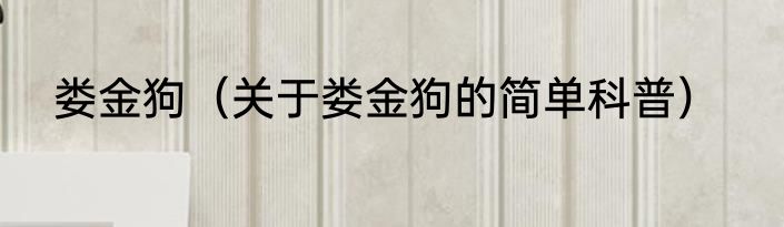 娄金狗（关于娄金狗的简单科普）