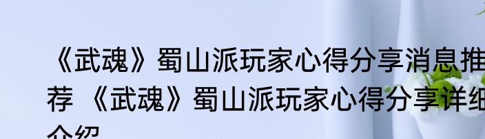《武魂》蜀山派玩家心得分享消息推荐 《武魂》蜀山派玩家心得分享详细介绍
