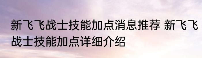 新飞飞战士技能加点消息推荐 新飞飞战士技能加点详细介绍