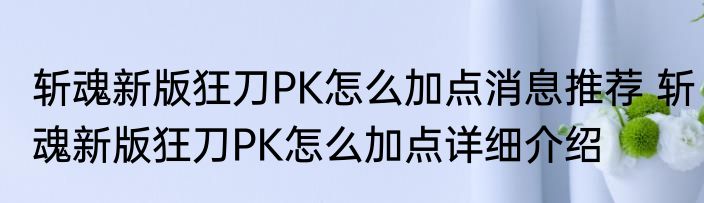 斩魂新版狂刀PK怎么加点消息推荐 斩魂新版狂刀PK怎么加点详细介绍