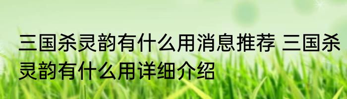 三国杀灵韵有什么用消息推荐 三国杀灵韵有什么用详细介绍
