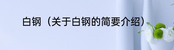 白钢（关于白钢的简要介绍）