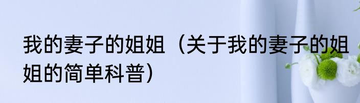 我的妻子的姐姐（关于我的妻子的姐姐的简单科普）