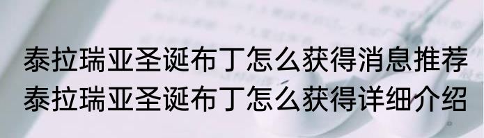 泰拉瑞亚圣诞布丁怎么获得消息推荐 泰拉瑞亚圣诞布丁怎么获得详细介绍