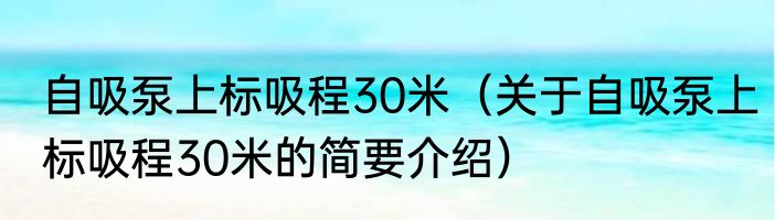 自吸泵上标吸程30米（关于自吸泵上标吸程30米的简要介绍）