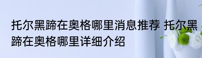 托尔黑蹄在奥格哪里消息推荐 托尔黑蹄在奥格哪里详细介绍