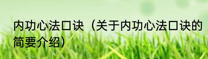 内功心法口诀（关于内功心法口诀的简要介绍）
