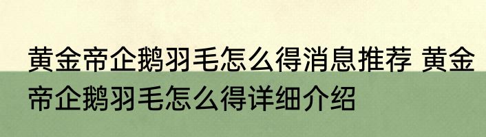 黄金帝企鹅羽毛怎么得消息推荐 黄金帝企鹅羽毛怎么得详细介绍