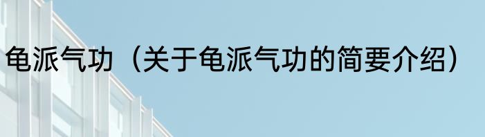 龟派气功（关于龟派气功的简要介绍）