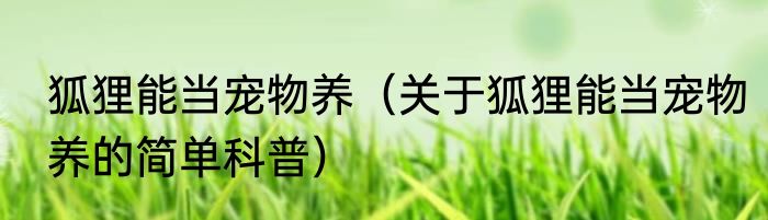 狐狸能当宠物养（关于狐狸能当宠物养的简单科普）