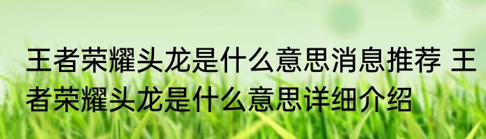王者荣耀头龙是什么意思消息推荐 王者荣耀头龙是什么意思详细介绍