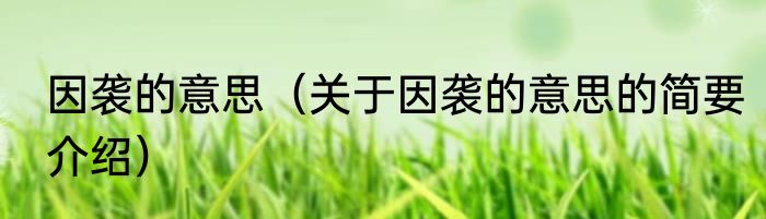 因袭的意思（关于因袭的意思的简要介绍）