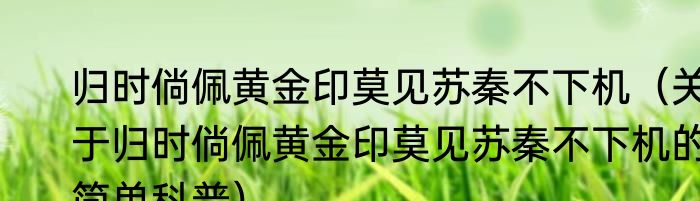 归时倘佩黄金印莫见苏秦不下机（关于归时倘佩黄金印莫见苏秦不下机的简单科普）
