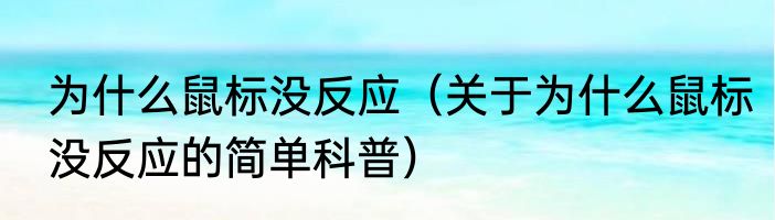 为什么鼠标没反应（关于为什么鼠标没反应的简单科普）