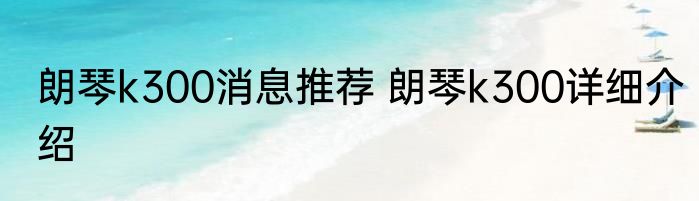 朗琴k300消息推荐 朗琴k300详细介绍