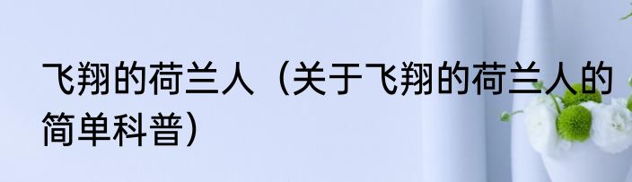 飞翔的荷兰人（关于飞翔的荷兰人的简单科普）