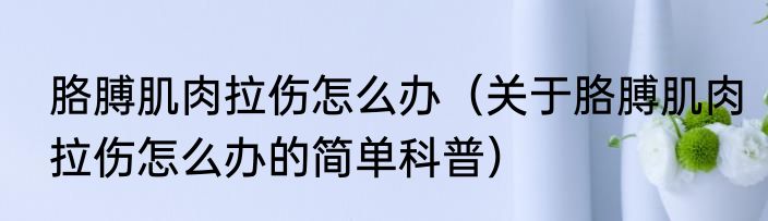 斯皮克斯金刚鹦鹉（关于斯皮克斯金刚鹦鹉的简单科普）