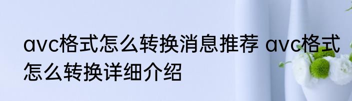 avc格式怎么转换消息推荐 avc格式怎么转换详细介绍