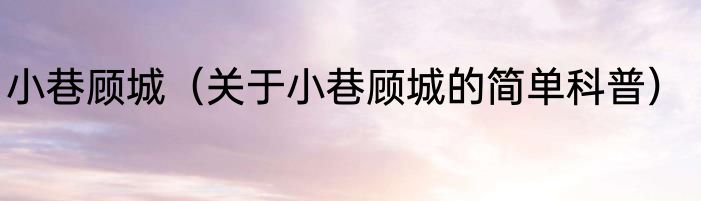 小巷顾城（关于小巷顾城的简单科普）