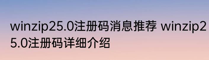 winzip25.0注册码消息推荐 winzip25.0注册码详细介绍