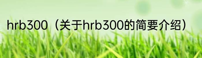 hrb300（关于hrb300的简要介绍）