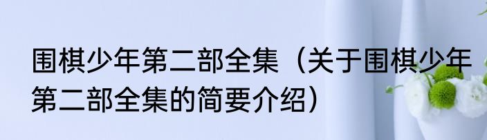 围棋少年第二部全集（关于围棋少年第二部全集的简要介绍）