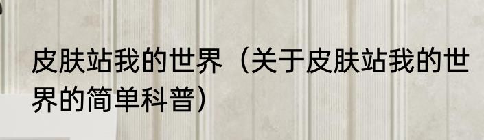 皮肤站我的世界（关于皮肤站我的世界的简单科普）