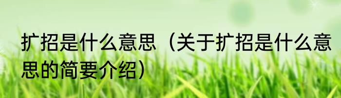 扩招是什么意思（关于扩招是什么意思的简要介绍）
