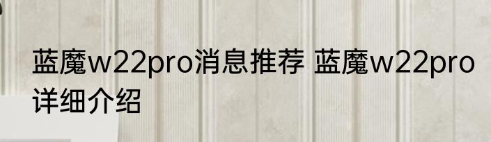 蓝魔w22pro消息推荐 蓝魔w22pro详细介绍