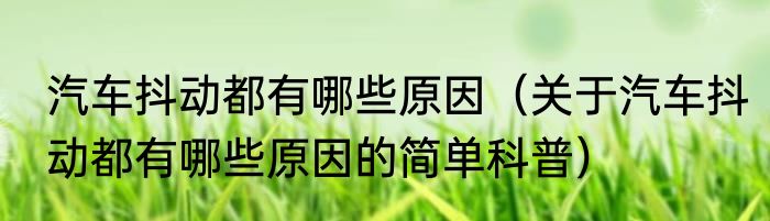 汽车抖动都有哪些原因（关于汽车抖动都有哪些原因的简单科普）