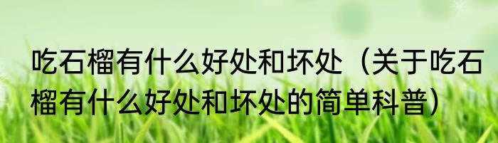 吃石榴有什么好处和坏处（关于吃石榴有什么好处和坏处的简单科普）